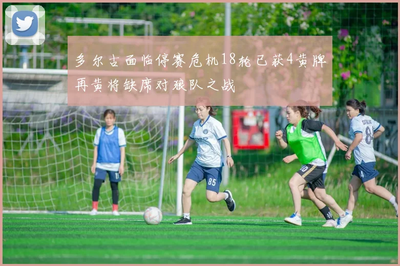 多尔古面临停赛危机18轮已获4黄牌再黄将缺席对狼队之战