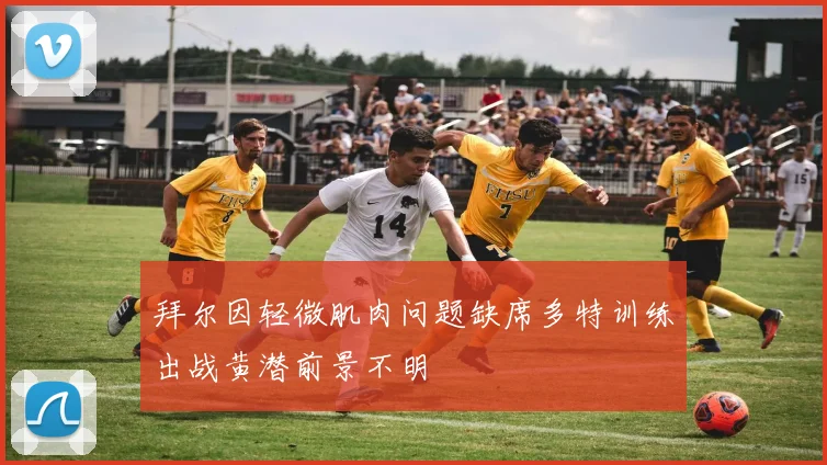 拜尔因轻微肌肉问题缺席多特训练出战黄潜前景不明