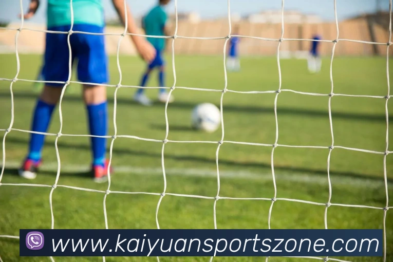 开元体育发展历程